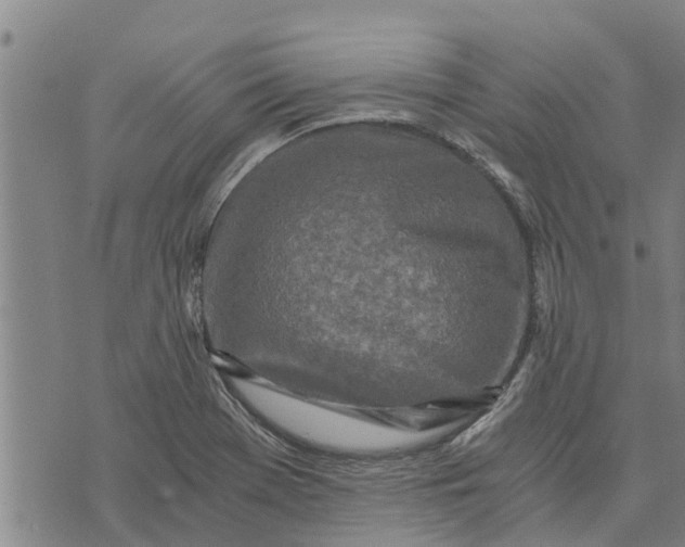 X0000073751369200608241336