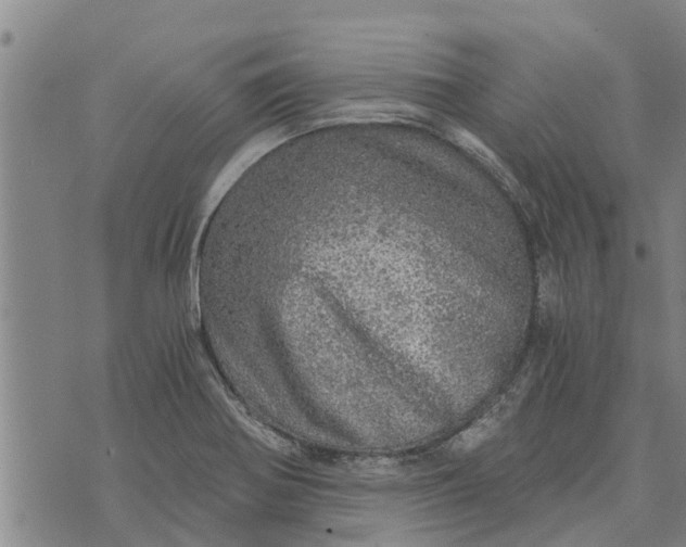 X0000073751370200608241336