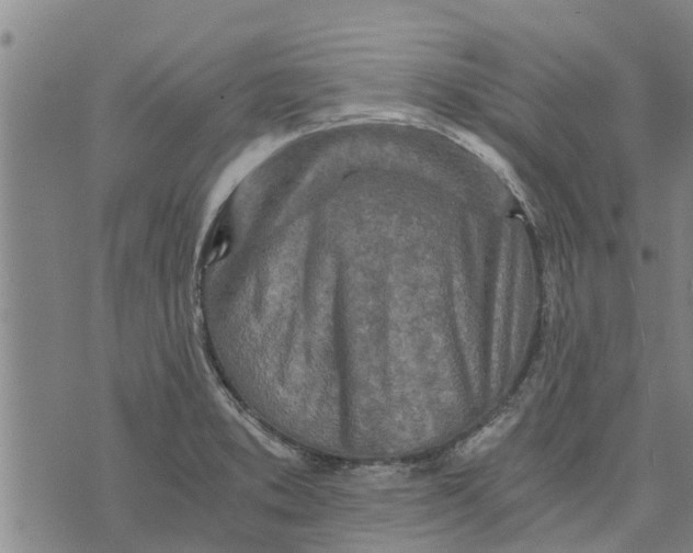 X0000073751373200608241336