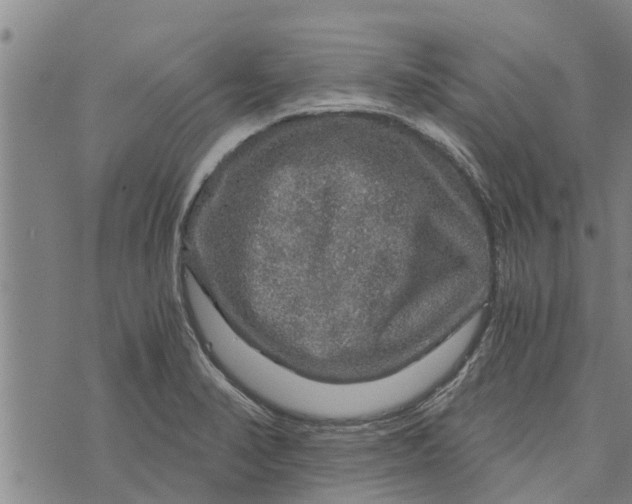 X0000073751374200608241336