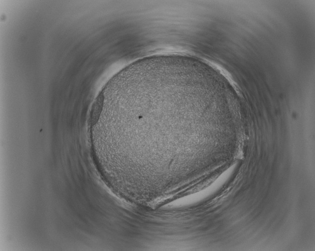 X0000073751375200608241336