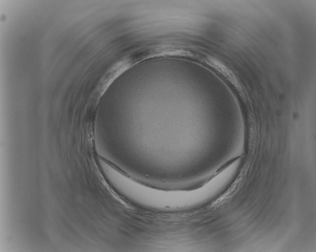 X0000073751377200608241336