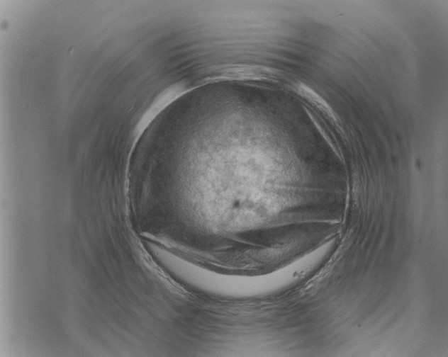 X0000073751378200608241336