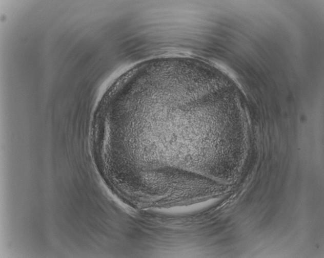 X0000073751379200608241336