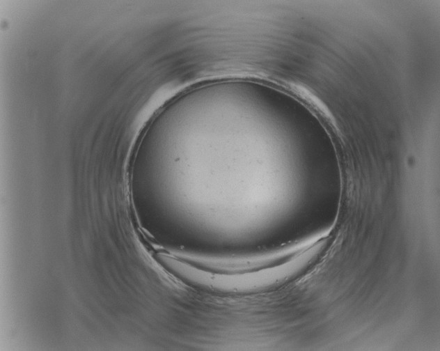 X0000073751380200608241336