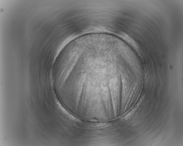 X0000073751382200608241336