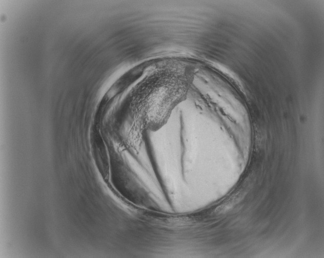 X0000073751383200608241336