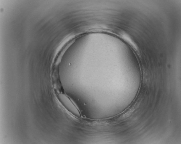 X0000073751384200608241336