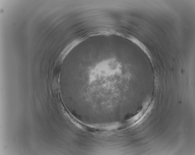 X0000073751385200608241336