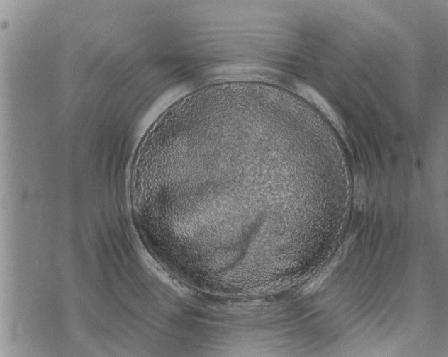 X0000073751386200608241336