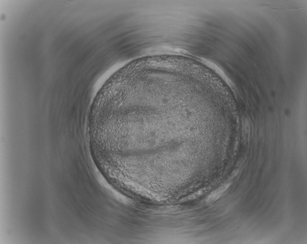 X0000073751387200608241336