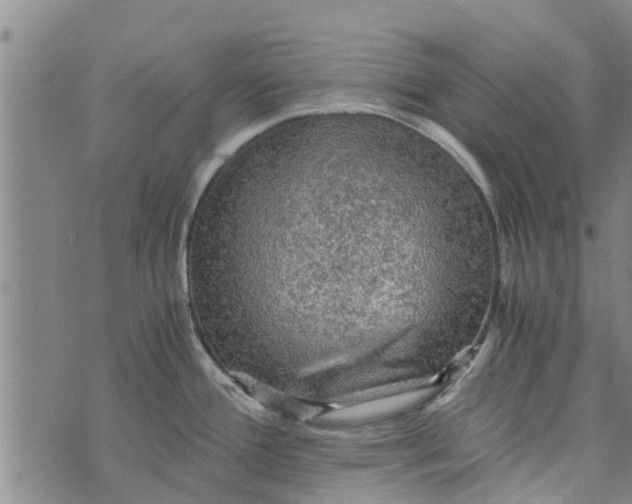 X0000073751388200608241336