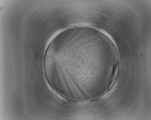 X0000073751389200608241336