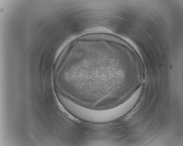 X0000073751390200608241336