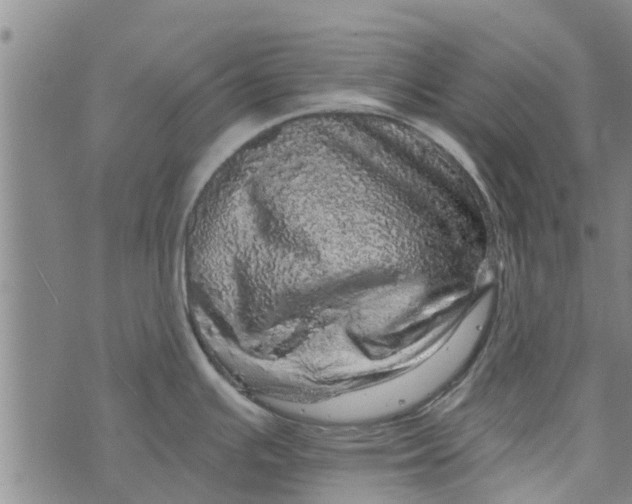 X0000073751391200608241336