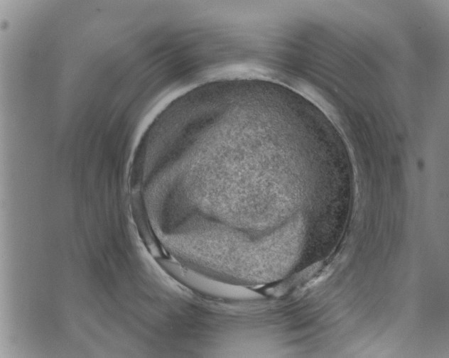 X0000073751392200608241336