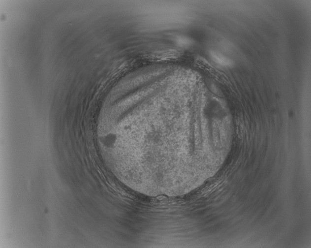 X0000073751393200608241335