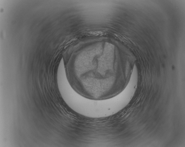 X0000073751394200608241335