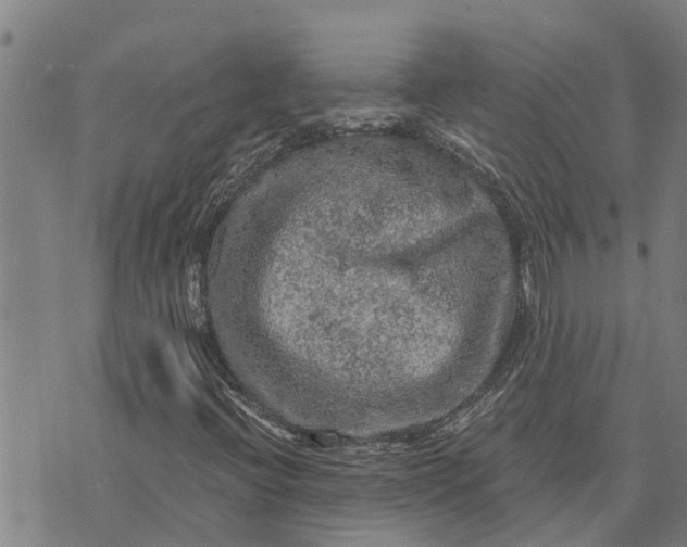 X0000073751396200608241335