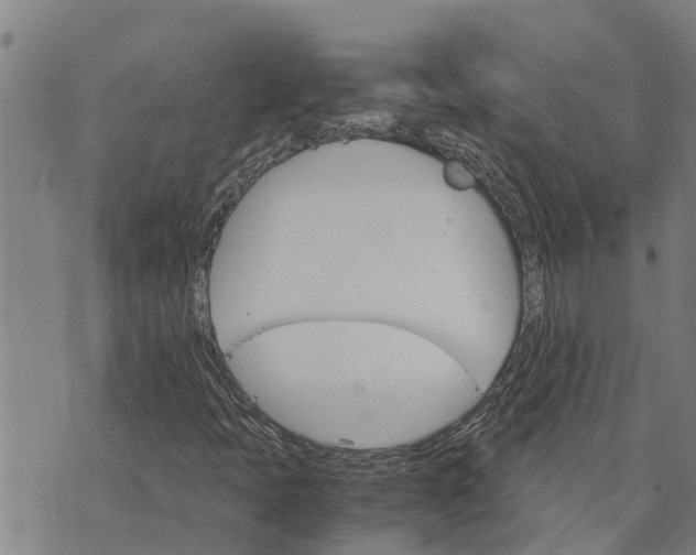 X0000073751397200608241335