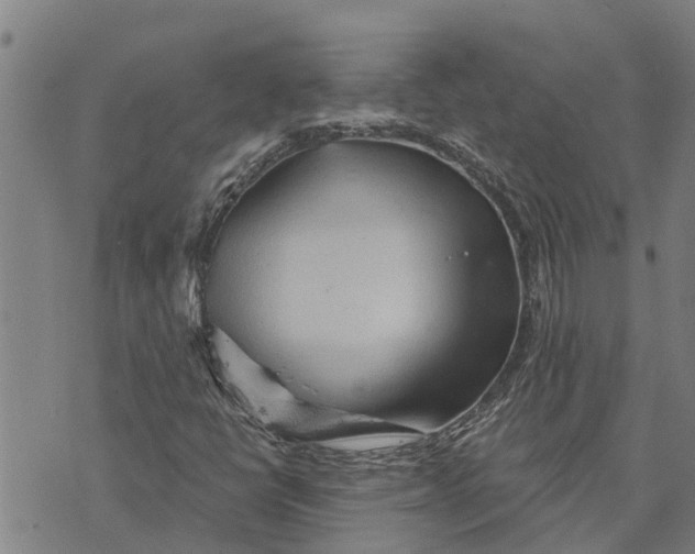 X0000073751398200608241335