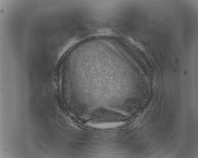 X0000073751400200608241335