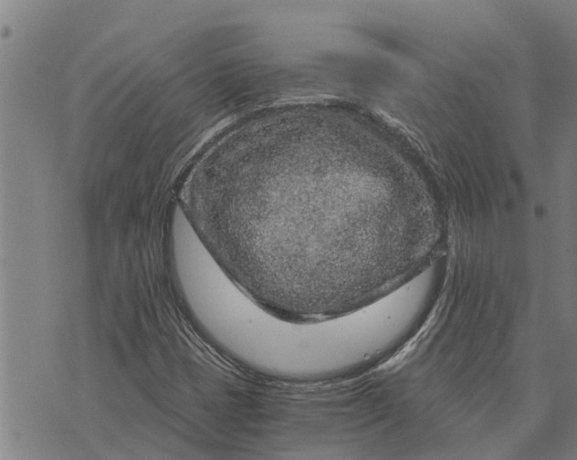 X0000073751401200608241335