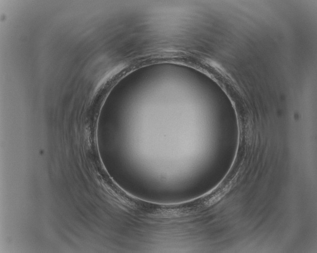 X0000073751402200608241335