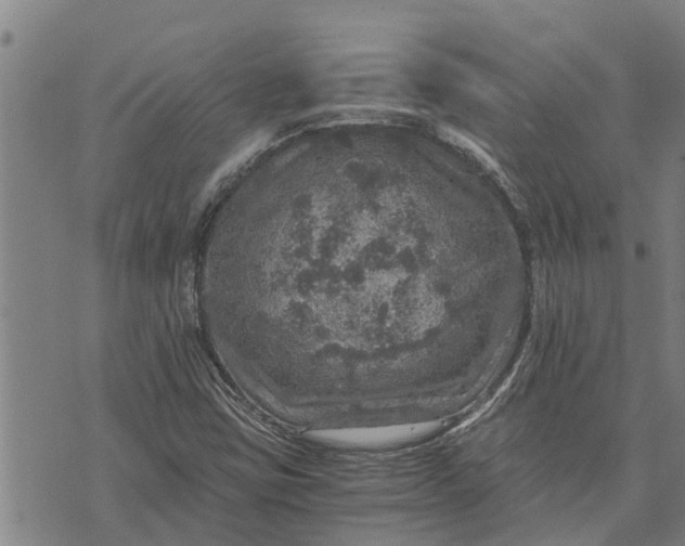 X0000073751403200608241335