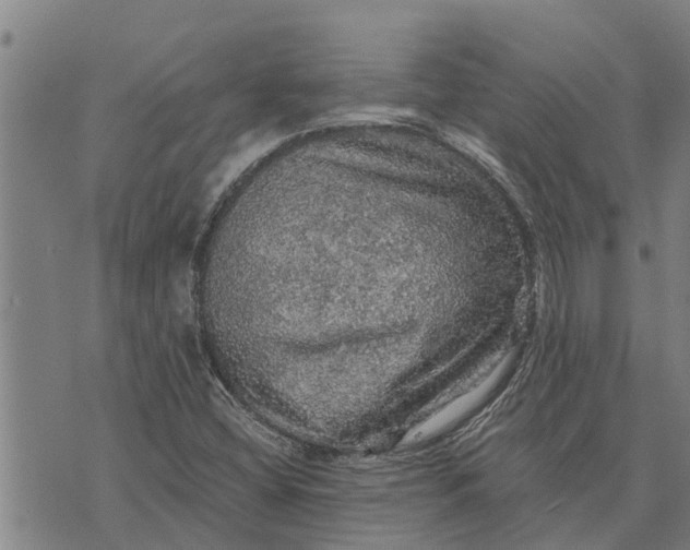 X0000073751404200608241335