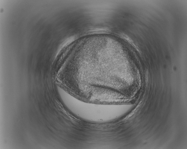 X0000073751405200608241335