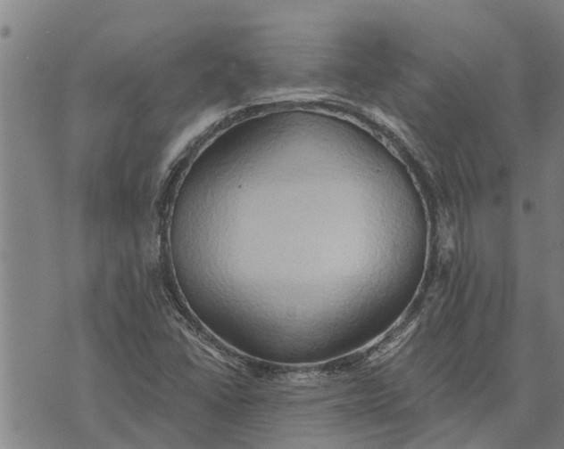 X0000073751406200608241335