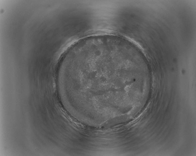 X0000073751407200608241335