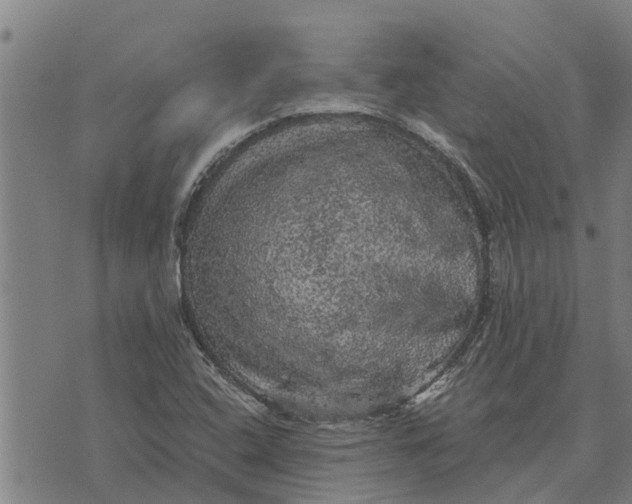 X0000073751408200608241335