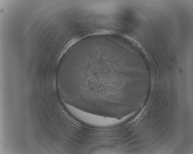 X0000073751409200608241335