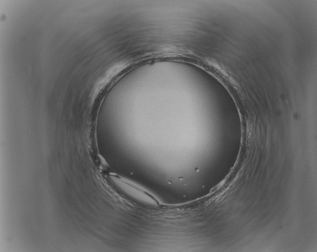 X0000073751410200608241335