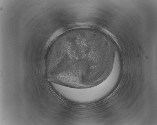 X0000073751411200608241335