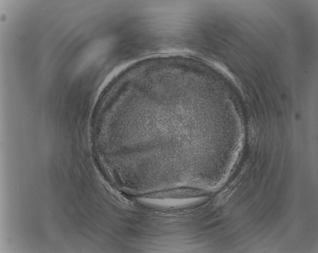 X0000073751412200608241335