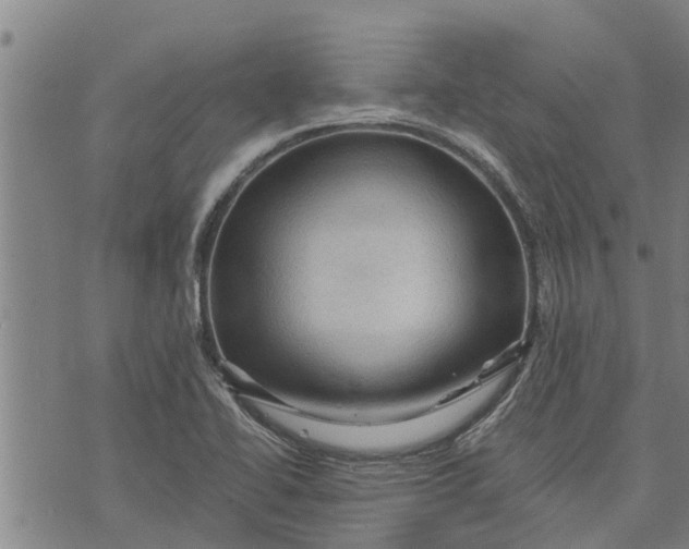 X0000073751414200608241336