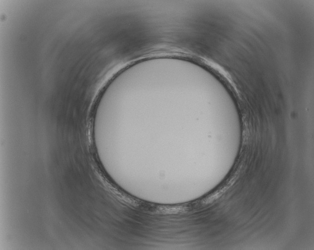 X0000073751415200608241336