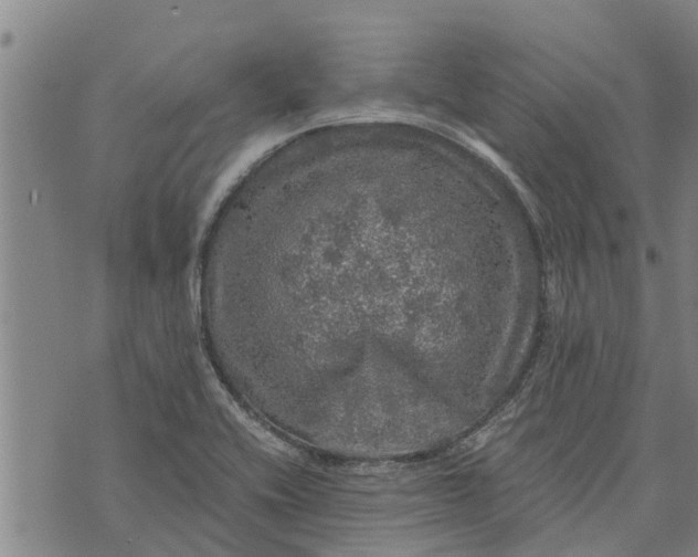 X0000073751416200608241336