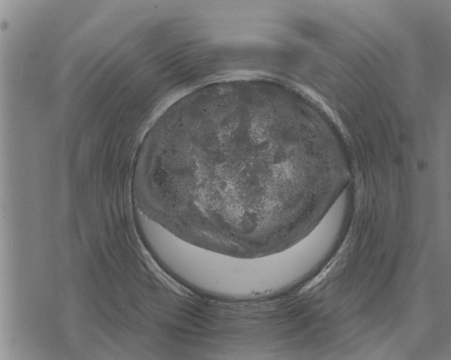 X0000073751417200608241336