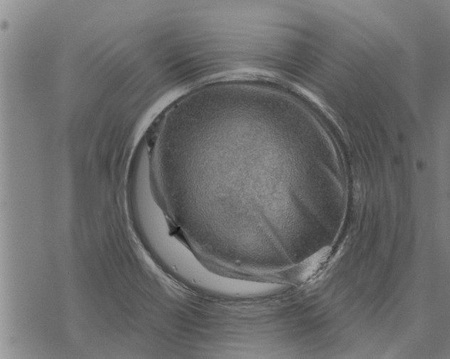 X0000073751418200608241336