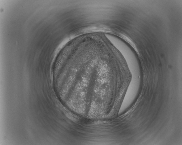 X0000073751419200608241336