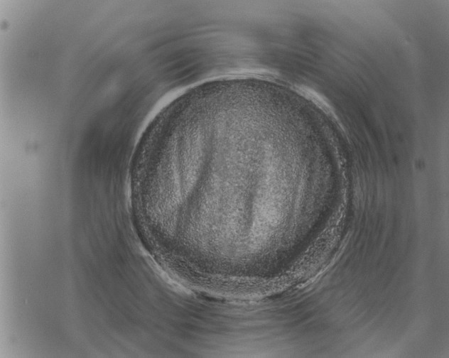 X0000073751420200608241336