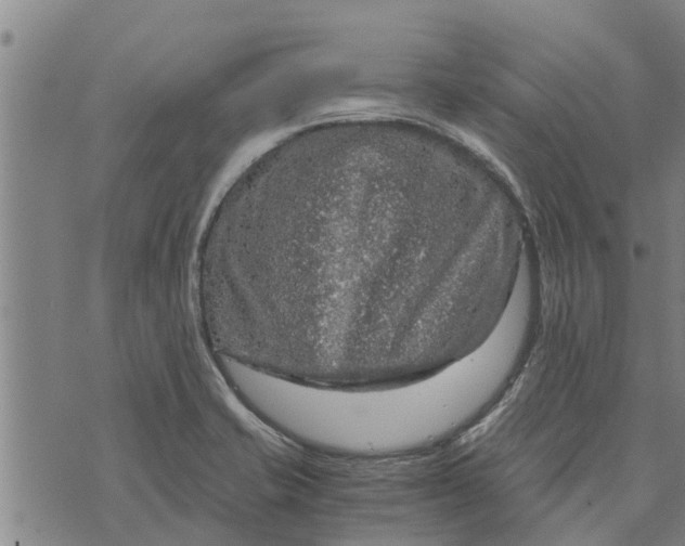 X0000073751421200608241336