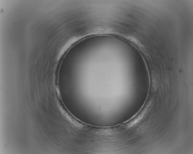 X0000073751422200608241336