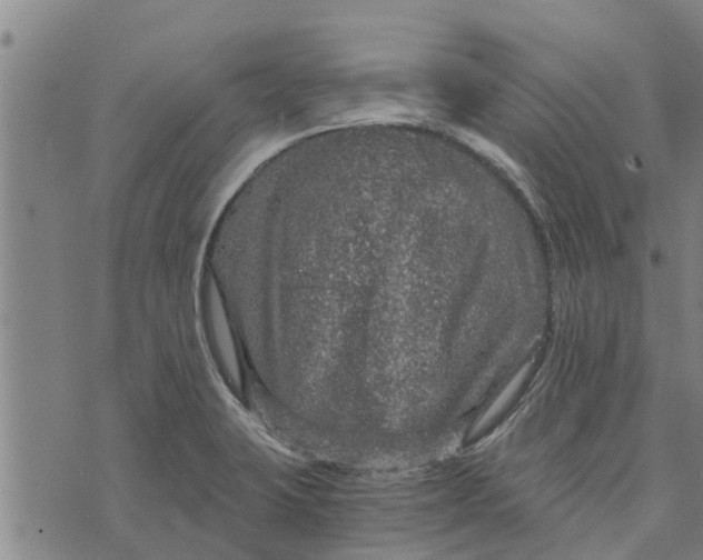 X0000073751423200608241336