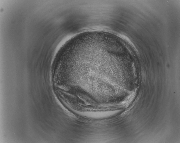 X0000073751424200608241336