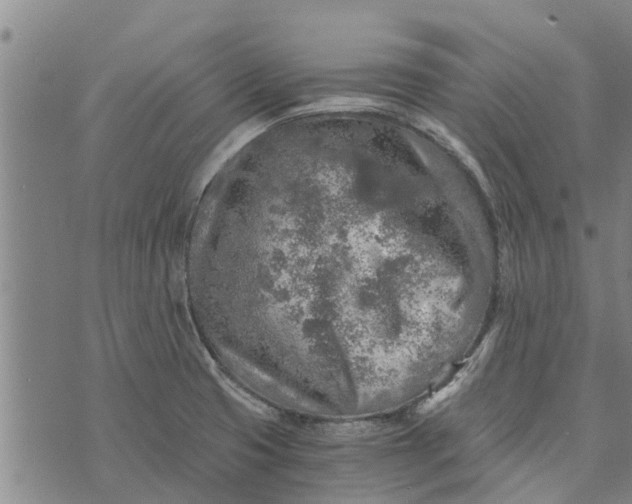 X0000073751425200608241336